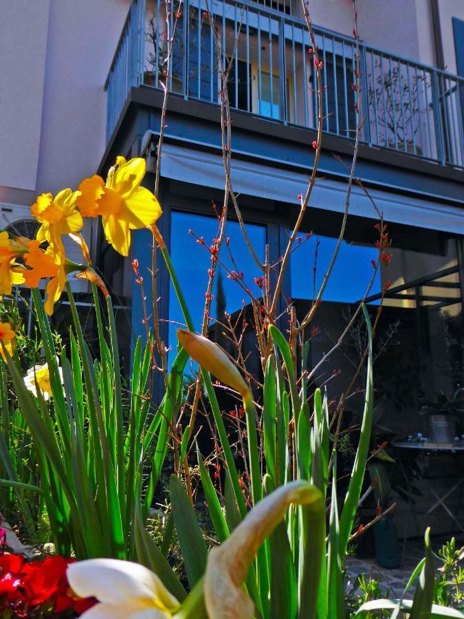 Fiorenzuola Bed & Breakfast Fiorenzuola di Focara Exterior photo